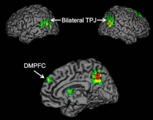 Brain regions TPJ and DMPFC. Psychologists report for the first time that the temporoparietal junction (TPJ) and dorsomedial prefrontal cortex (DMPFC) brain regions are associated with the successful spread of ideas, often called 'buzz.' (Credit: Image courtesy of University of California - Los Angeles)